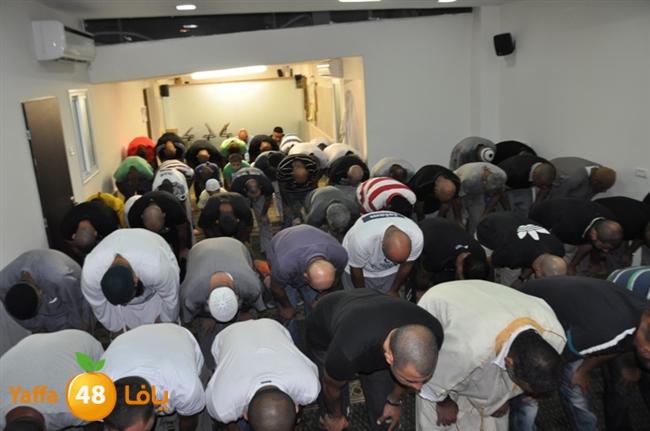 tarawee7 fateh mosqueeq (6).JPG